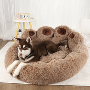 The Ultimate Pet Sofa Beds