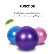 Large Yoga Ball Fitness Ball
