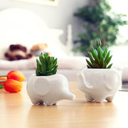 Set of 2 Cute White Elephant Ceramic Flower Pots