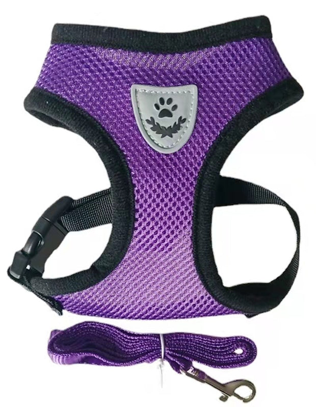 Cat or Dog Harness with Lead Leash