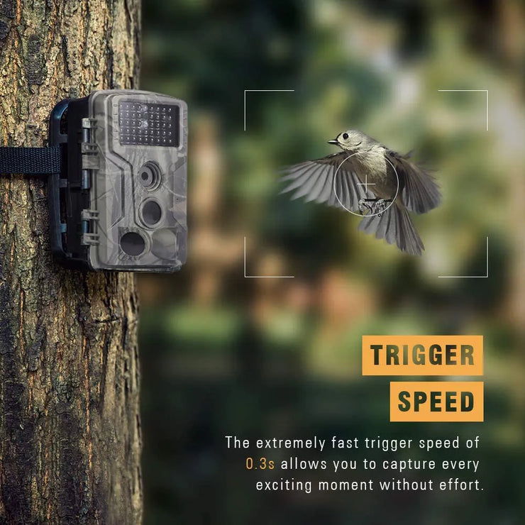 Outdoor 1080P Trail Camera