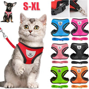 Cat or Dog Harness with Lead Leash